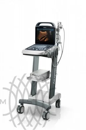 УЗИ аппарат Mindray DP-10 Vet ветеринарный портативный