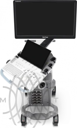 УЗИ аппарат SonoScape ProPet 80